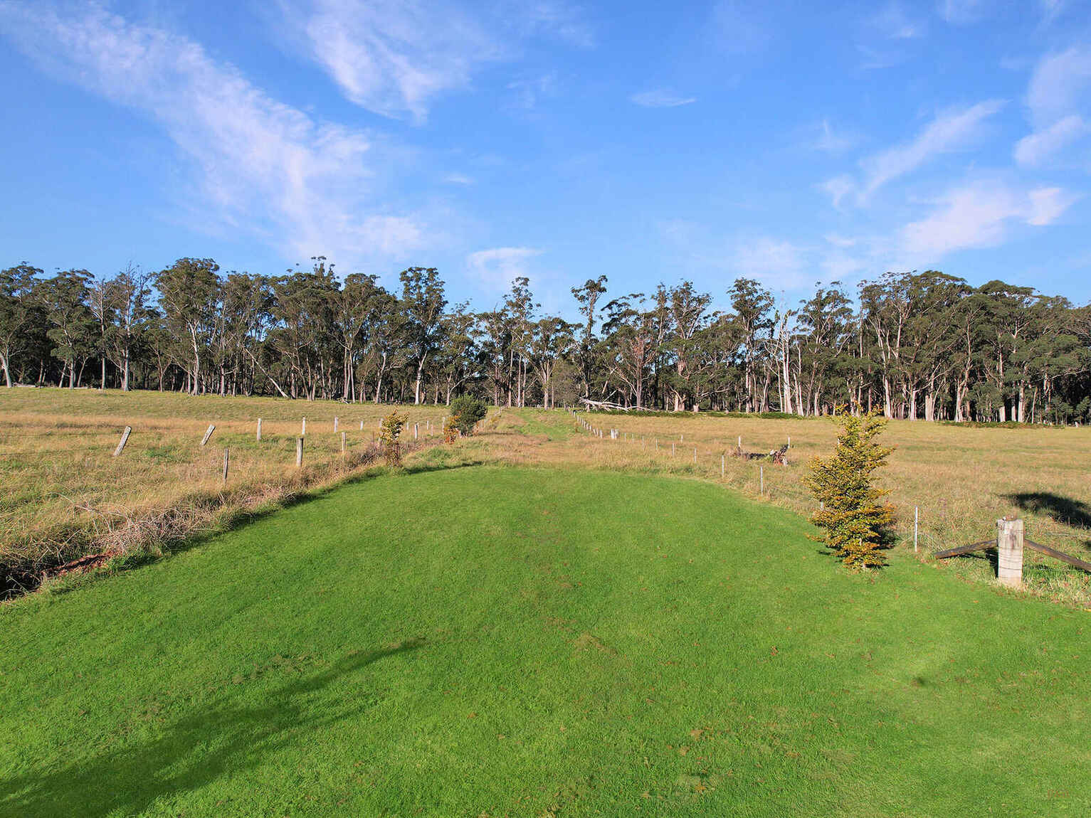 55 Yarrunga Road Wildes Meadow