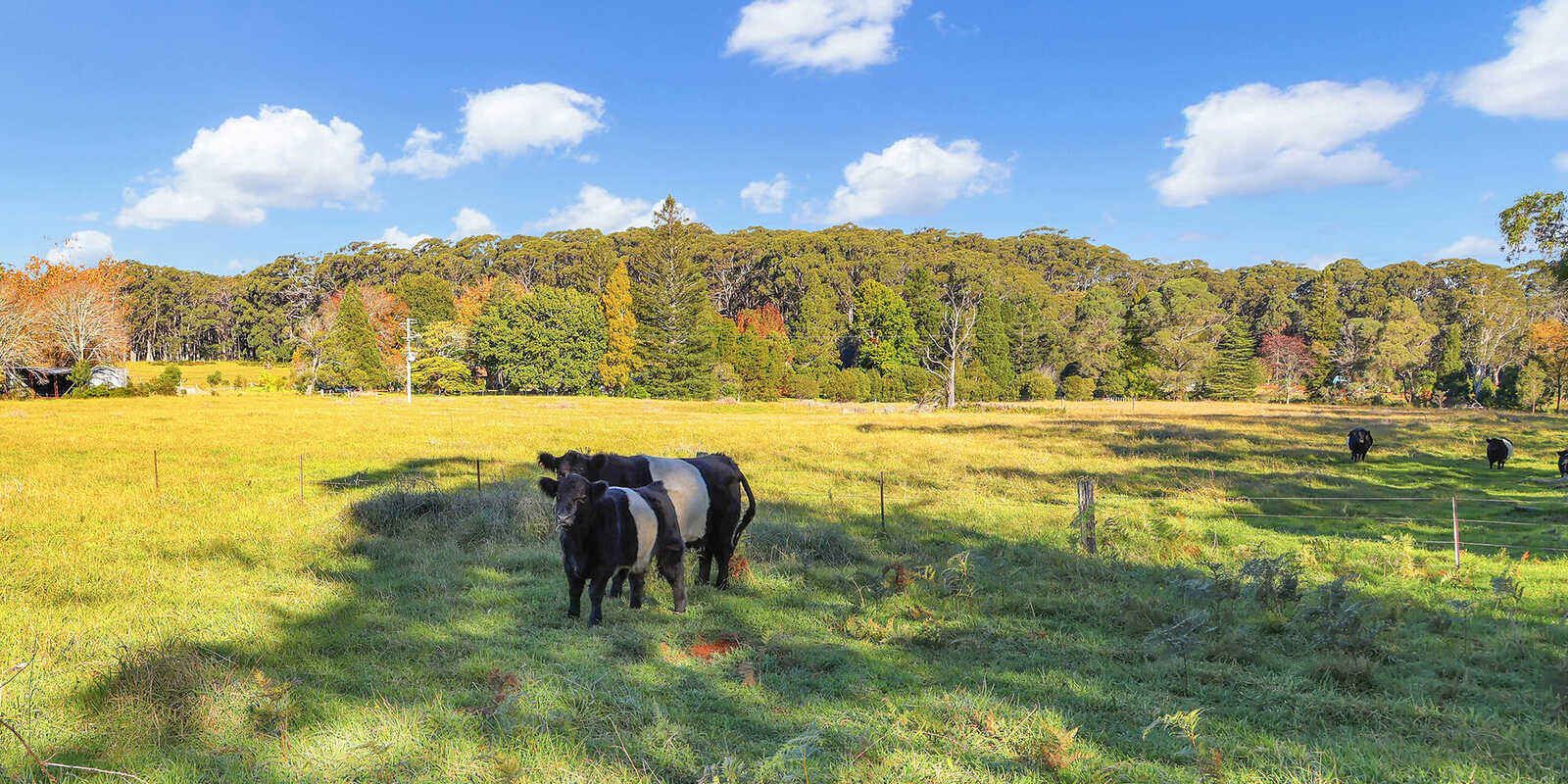 55 Yarrunga Road Wildes Meadow