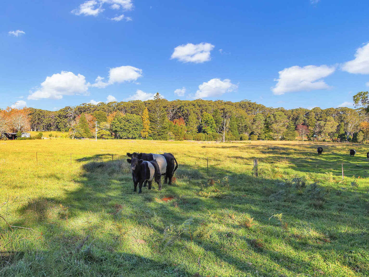 55 Yarrunga Road Wildes Meadow