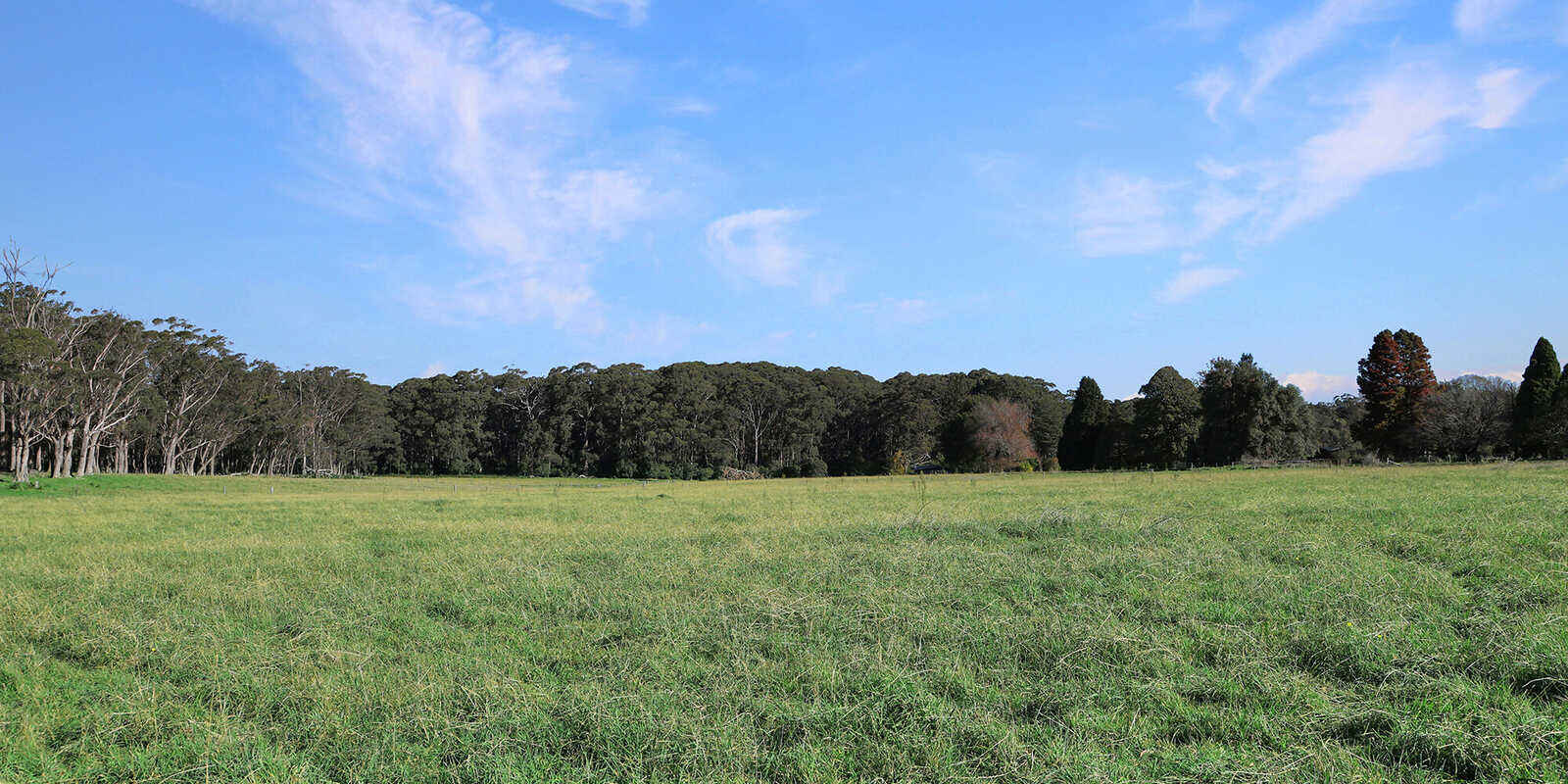 55 Yarrunga Road Wildes Meadow