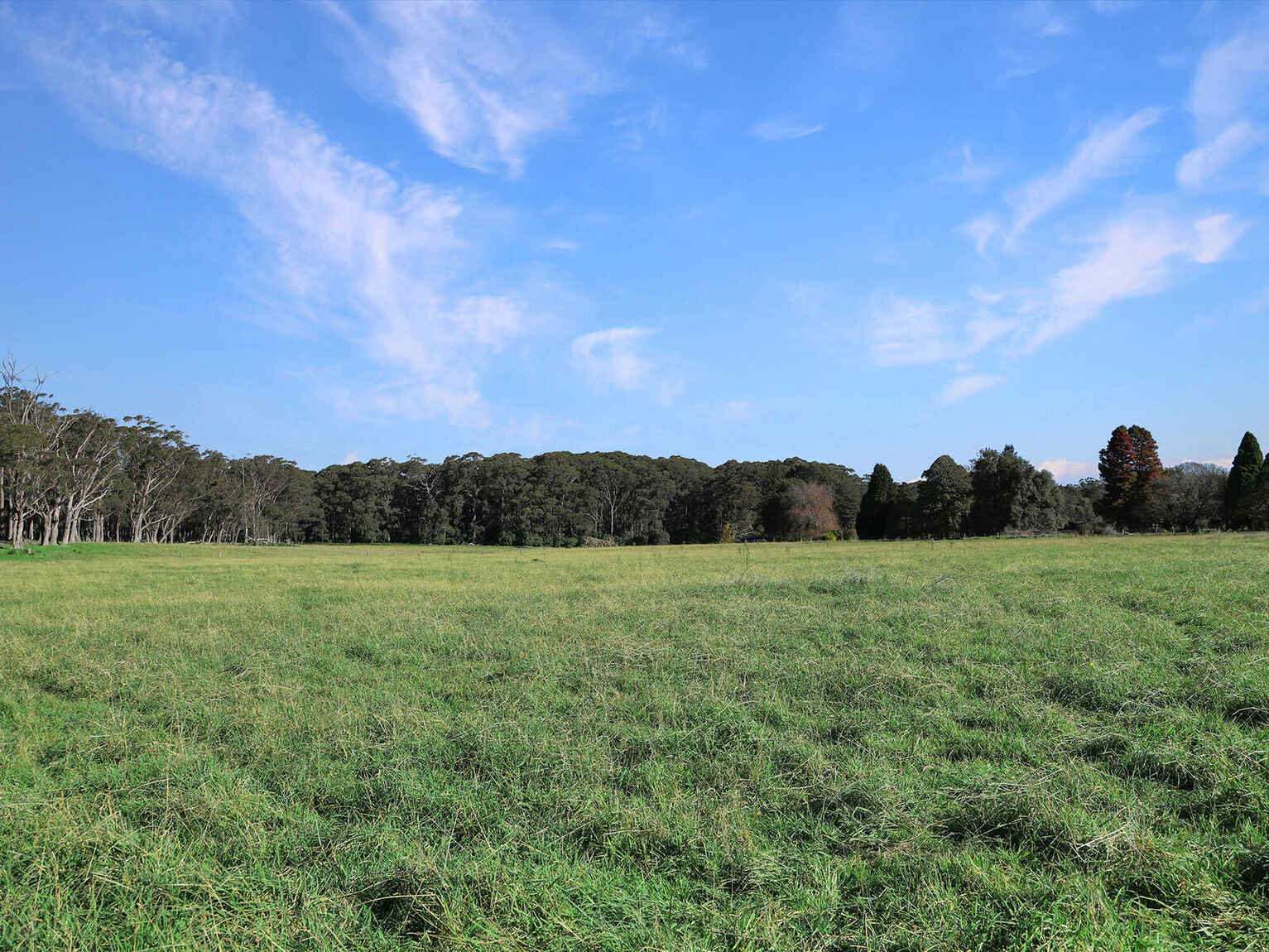 55 Yarrunga Road Wildes Meadow