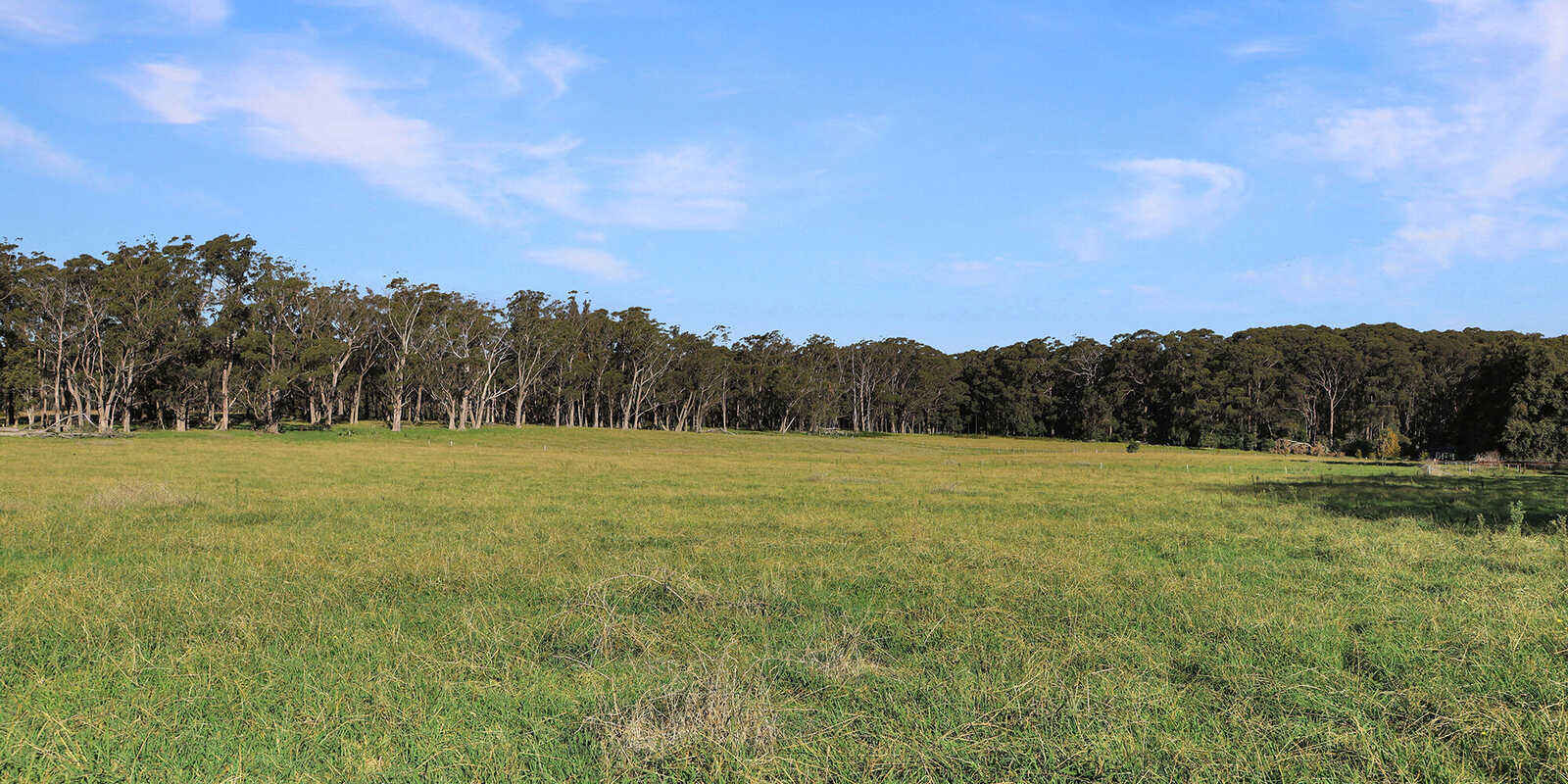 55 Yarrunga Road Wildes Meadow