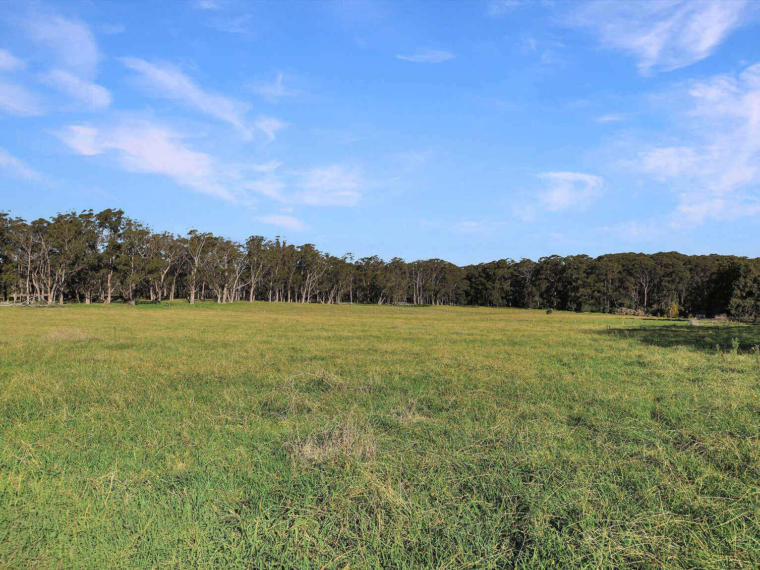 55 Yarrunga Road Wildes Meadow