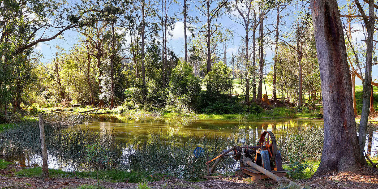 55 Yarrunga Road Wildes Meadow
