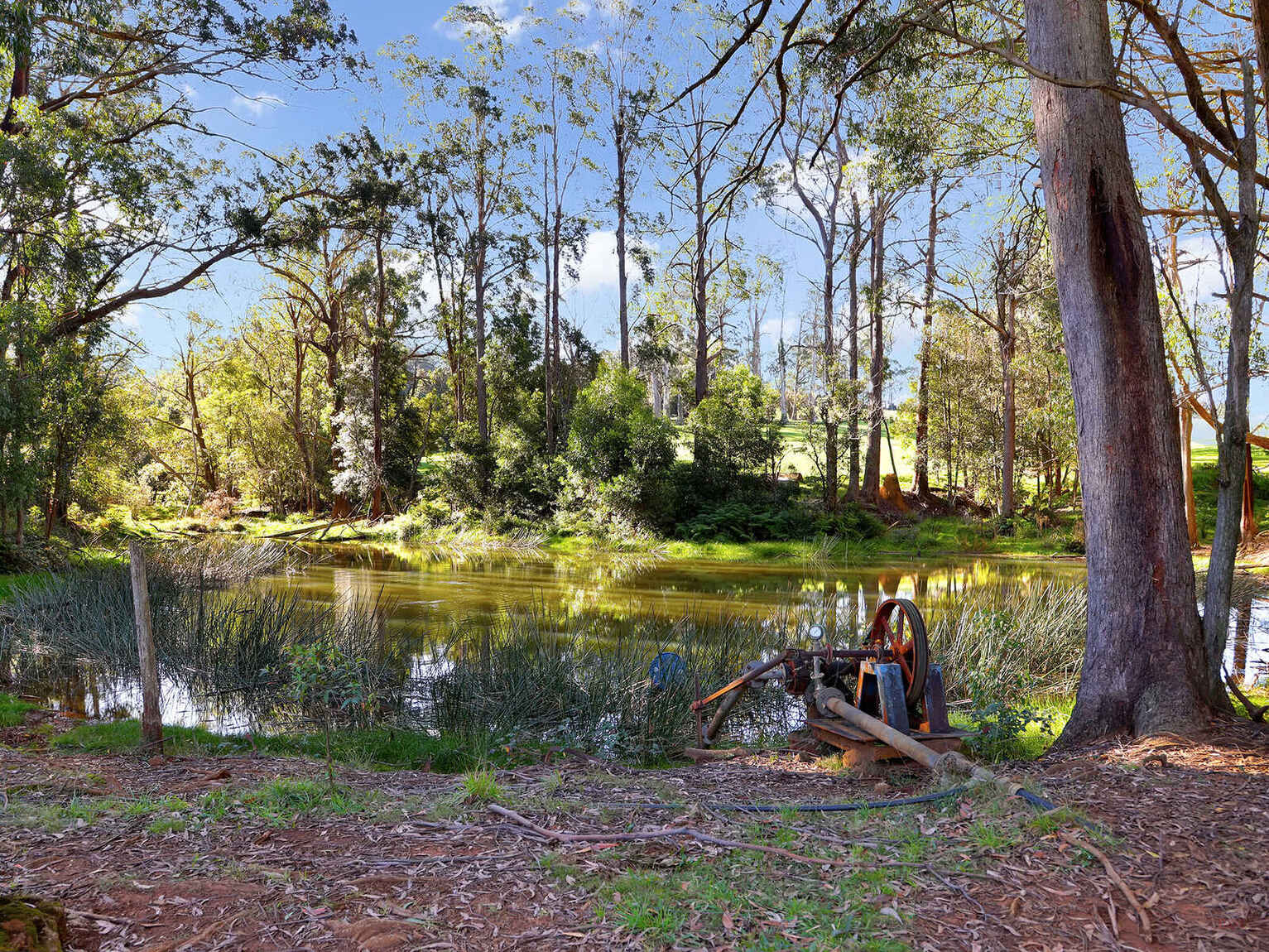 55 Yarrunga Road Wildes Meadow