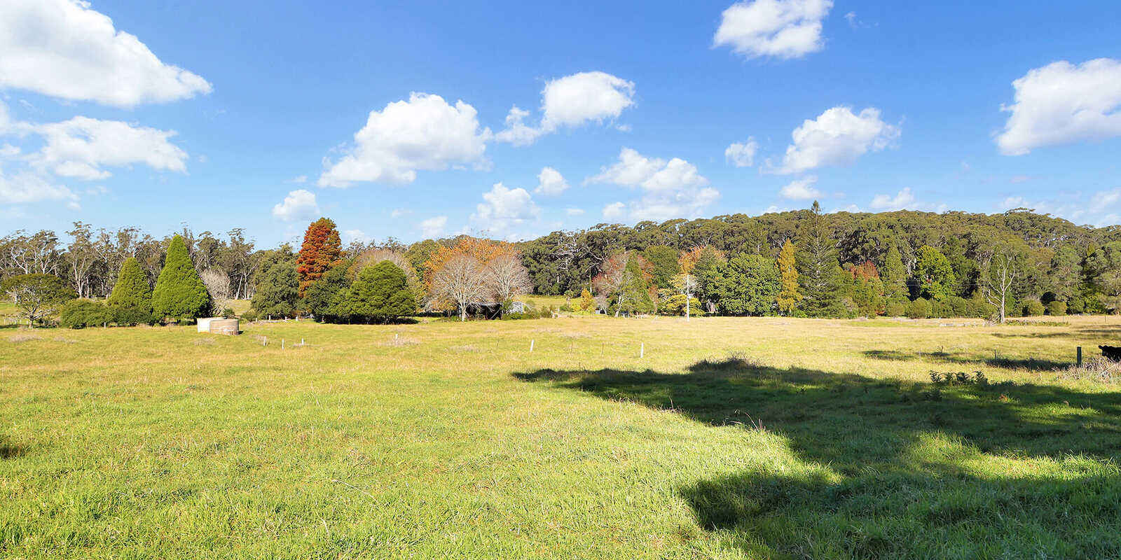 55 Yarrunga Road Wildes Meadow