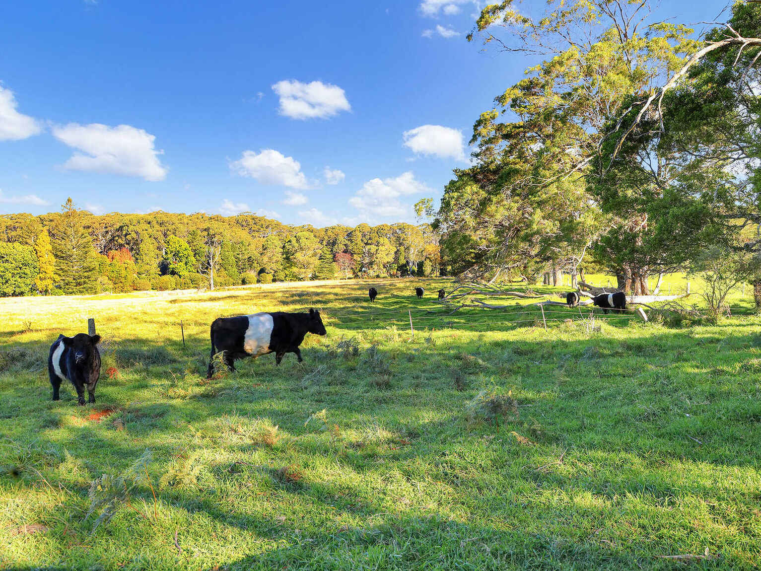 55 Yarrunga Road Wildes Meadow