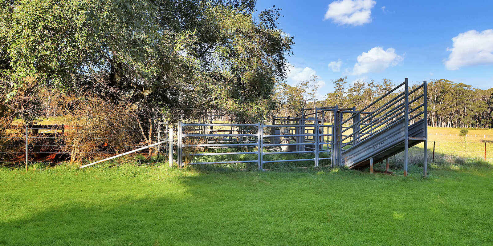 55 Yarrunga Road Wildes Meadow