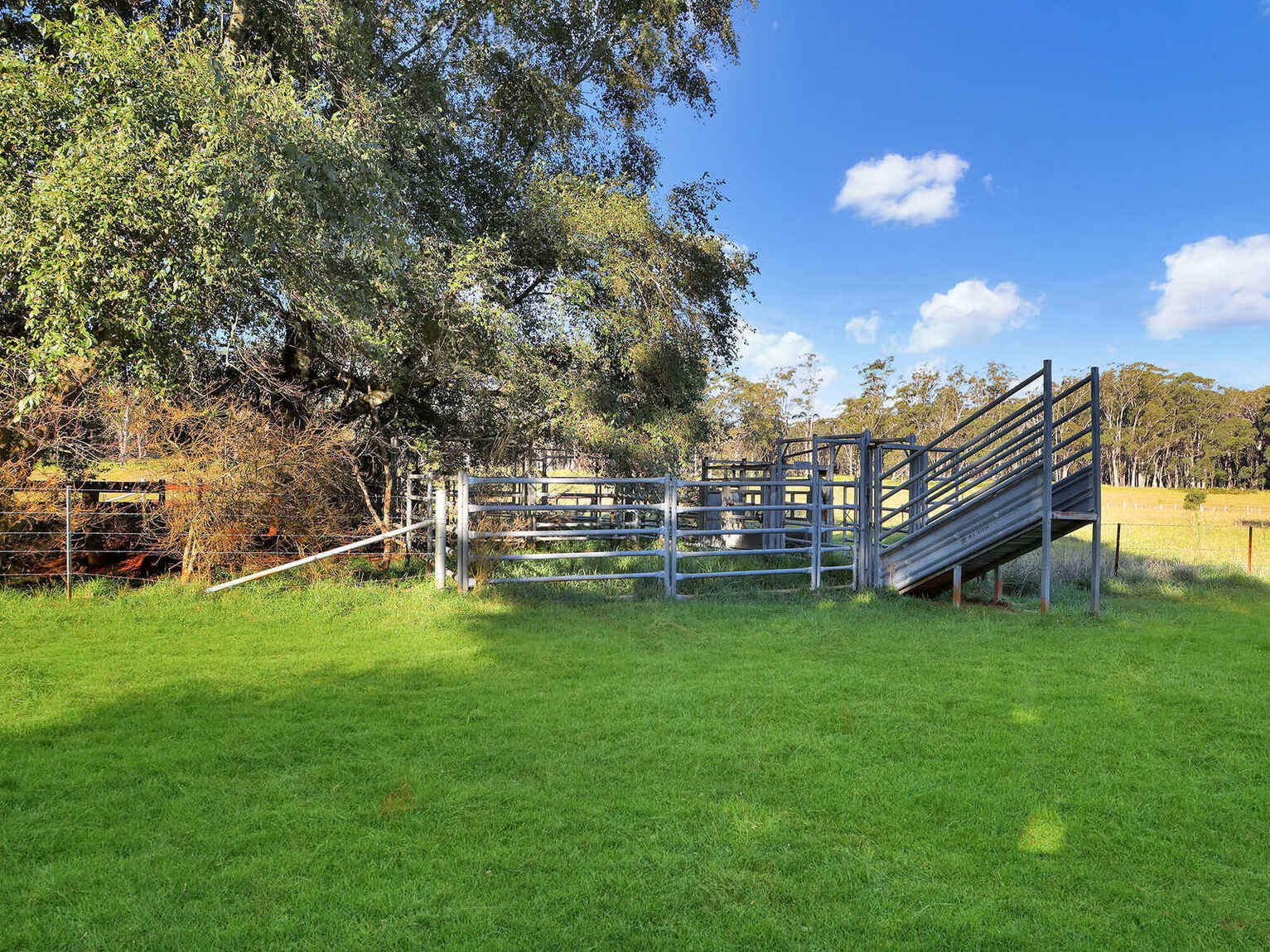 55 Yarrunga Road Wildes Meadow