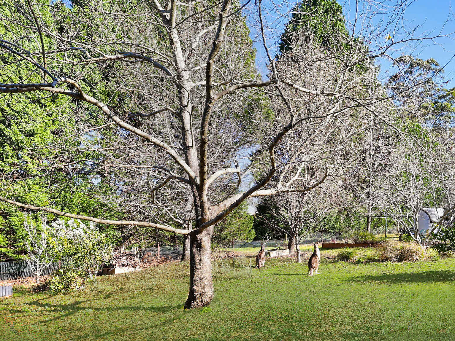 39 Garland Road Bundanoon
