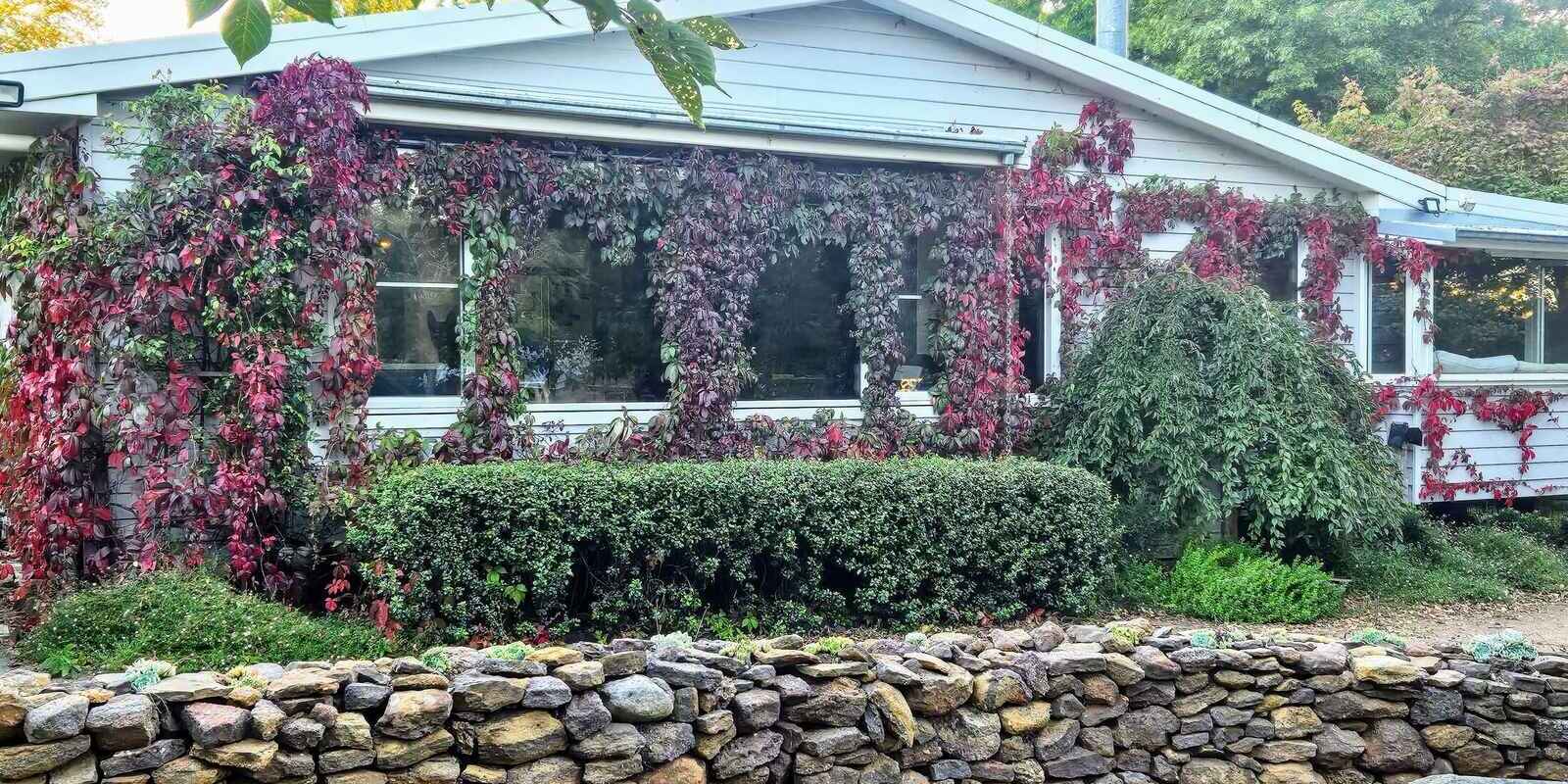 'Winter Hill' 2233 Canyonleigh Road Canyonleigh